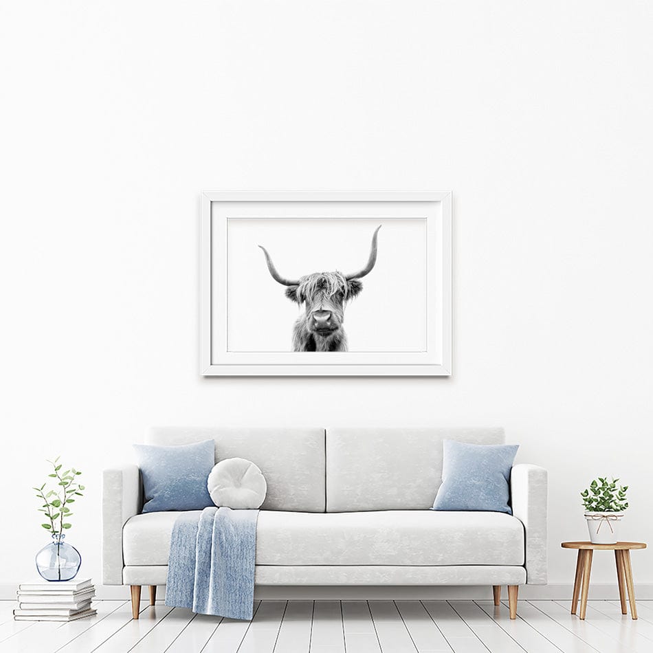 Scottish Highland Cattle Framed Art Print wall art product okufner / Shutterstock