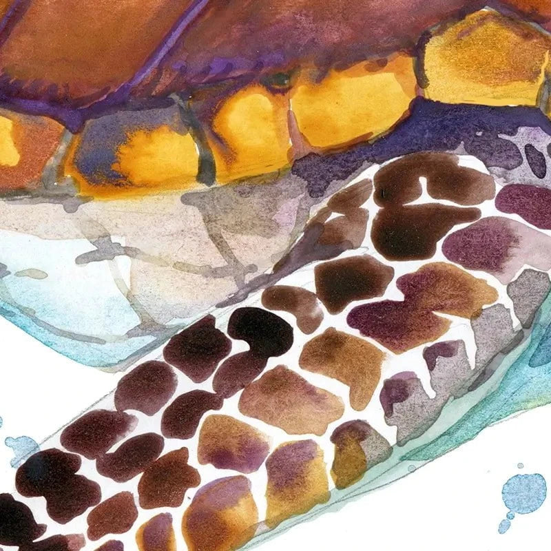 Sea Turtle Art Print Sea Turtle Art Print wall art product Faenkova Elena / Shutterstock