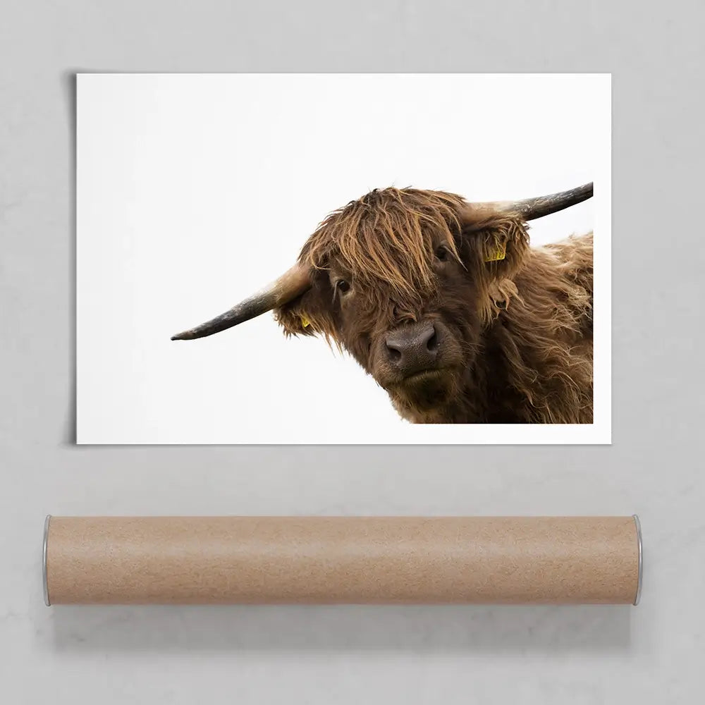Side Peeking Highland Cow Art Print Side Peeking Highland Cow Art Print wall art product Massimo Cavallo / Shutterstock