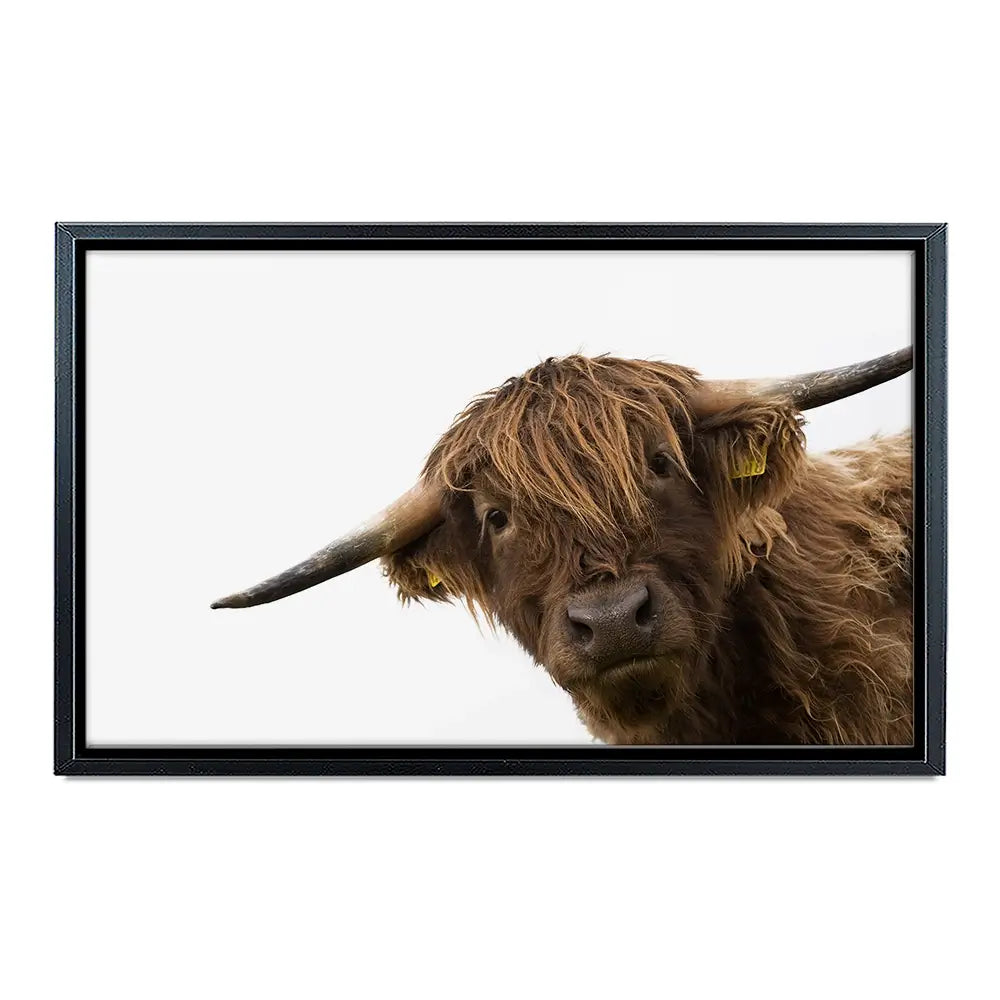 Side Peeking Highland Cow Canvas Print Side Peeking Highland Cow Canvas Print wall art product Massimo Cavallo / Shutterstock