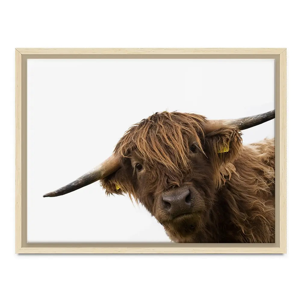 Side Peeking Highland Cow Canvas Print Side Peeking Highland Cow Canvas Print wall art product Massimo Cavallo / Shutterstock