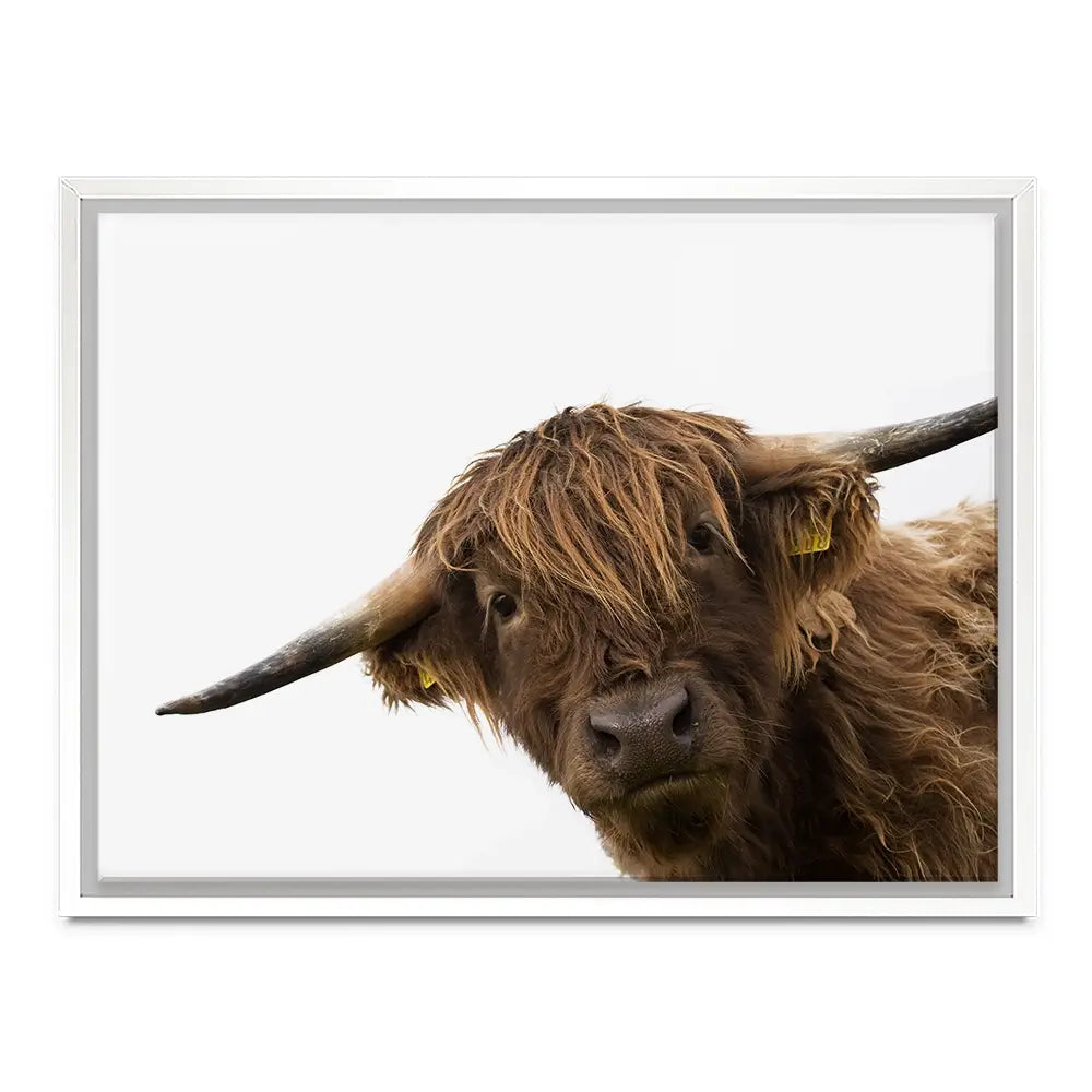 Side Peeking Highland Cow Canvas Print Side Peeking Highland Cow Canvas Print wall art product Massimo Cavallo / Shutterstock