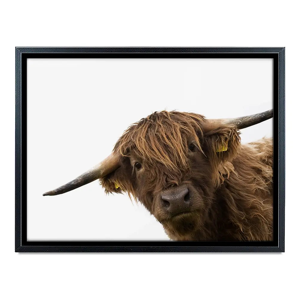Side Peeking Highland Cow Canvas Print Side Peeking Highland Cow Canvas Print wall art product Massimo Cavallo / Shutterstock