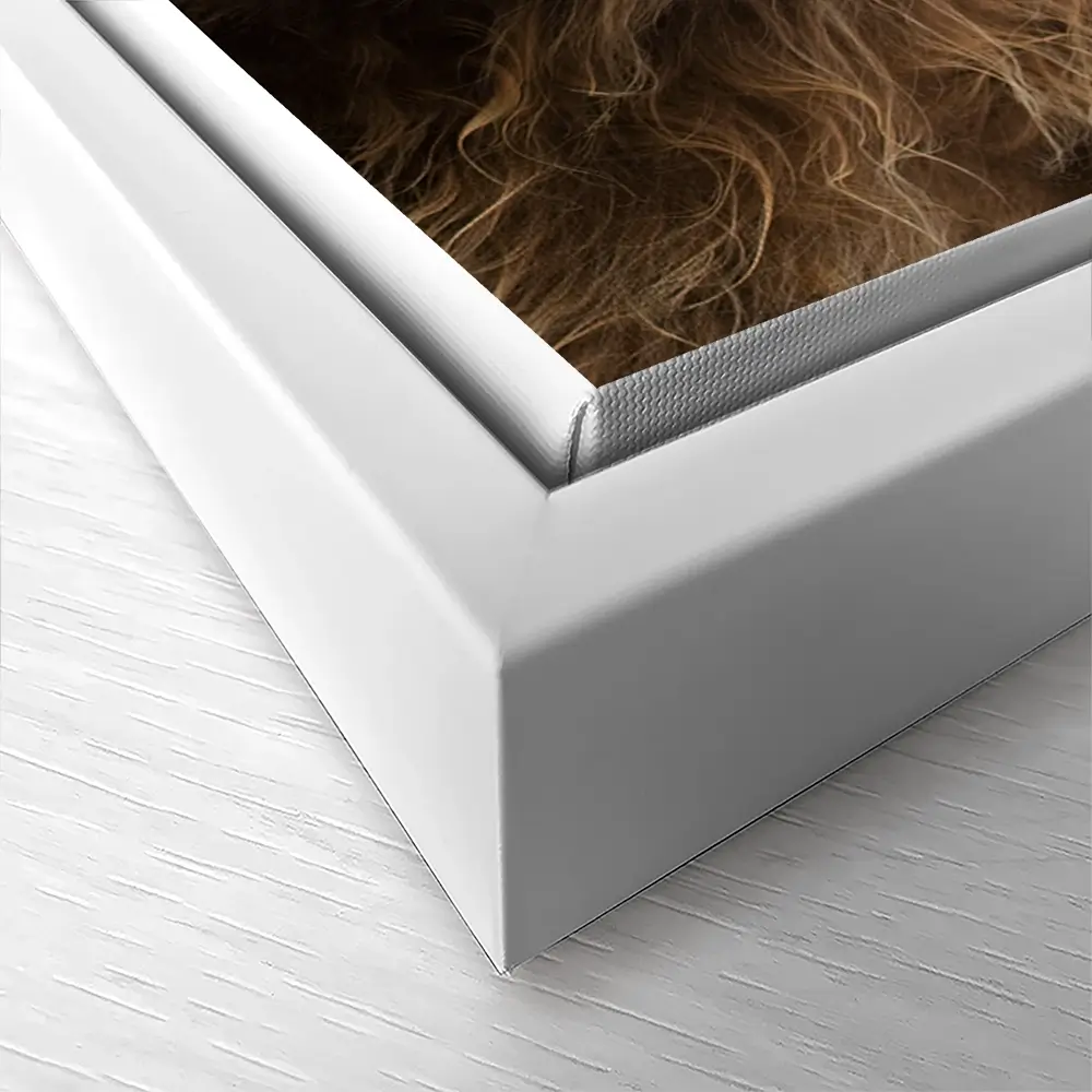 Side Peeking Highland Cow Canvas Print Side Peeking Highland Cow Canvas Print wall art product Massimo Cavallo / Shutterstock