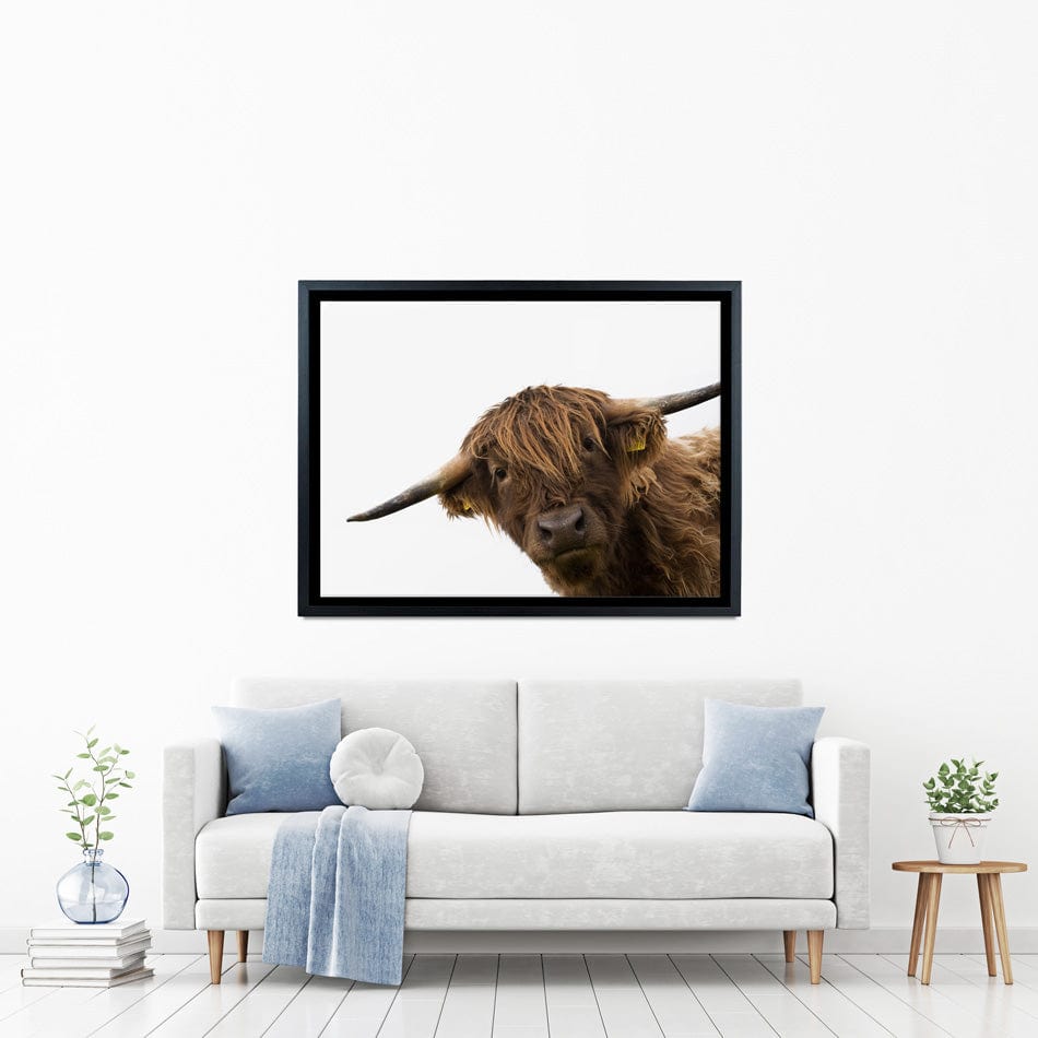 Side Peeking Highland Cow Canvas Print wall art product Massimo Cavallo / Shutterstock