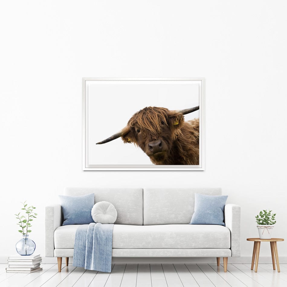 Side Peeking Highland Cow Canvas Print wall art product Massimo Cavallo / Shutterstock