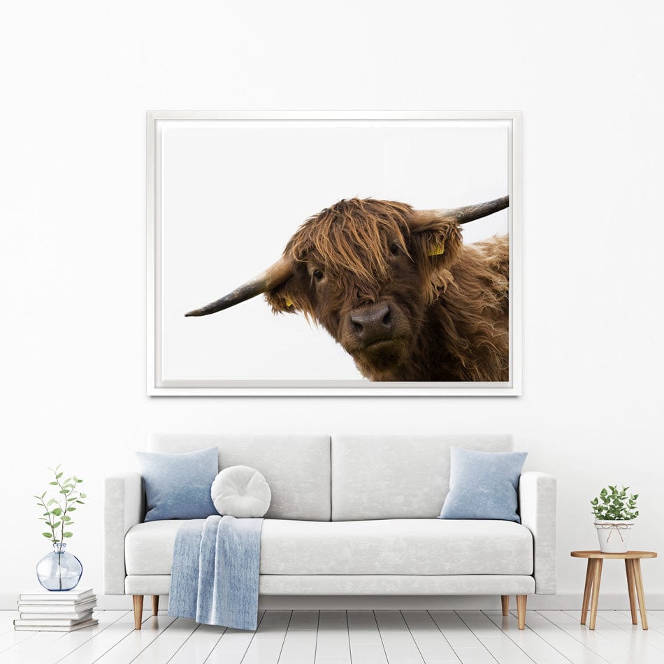 Side Peeking Highland Cow Canvas Print wall art product Massimo Cavallo / Shutterstock