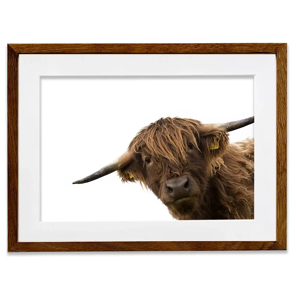 Side Peeking Highland Cow Framed Art Print Side Peeking Highland Cow Framed Art Print wall art product Massimo Cavallo / Shutterstock
