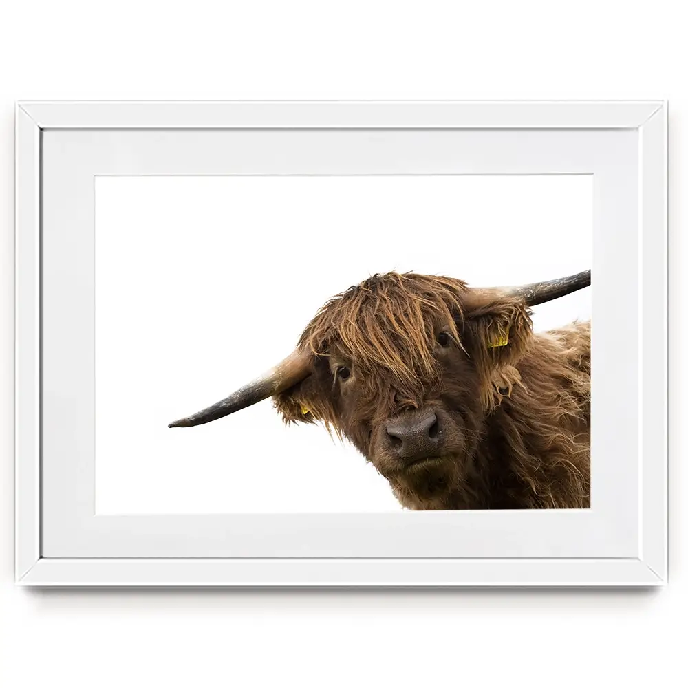 Side Peeking Highland Cow Framed Art Print Side Peeking Highland Cow Framed Art Print wall art product Massimo Cavallo / Shutterstock