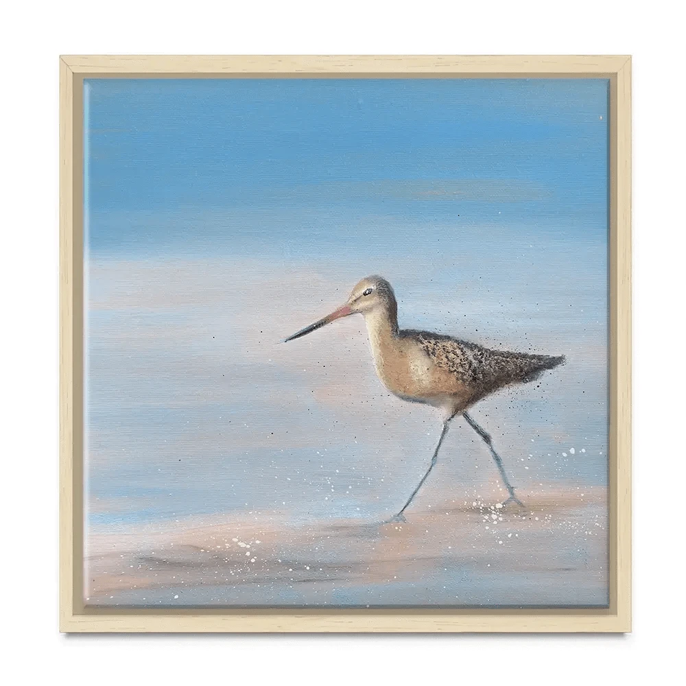 Single Sandpiper Square Canvas Print Single Sandpiper Square Canvas Print wall art product Laure Bury