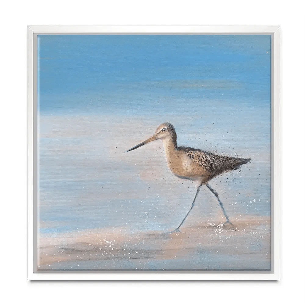 Single Sandpiper Square Canvas Print Single Sandpiper Square Canvas Print wall art product Laure Bury