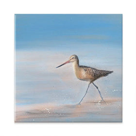 Single Sandpiper Square Canvas Print Single Sandpiper Square Canvas Print wall art product Laure Bury