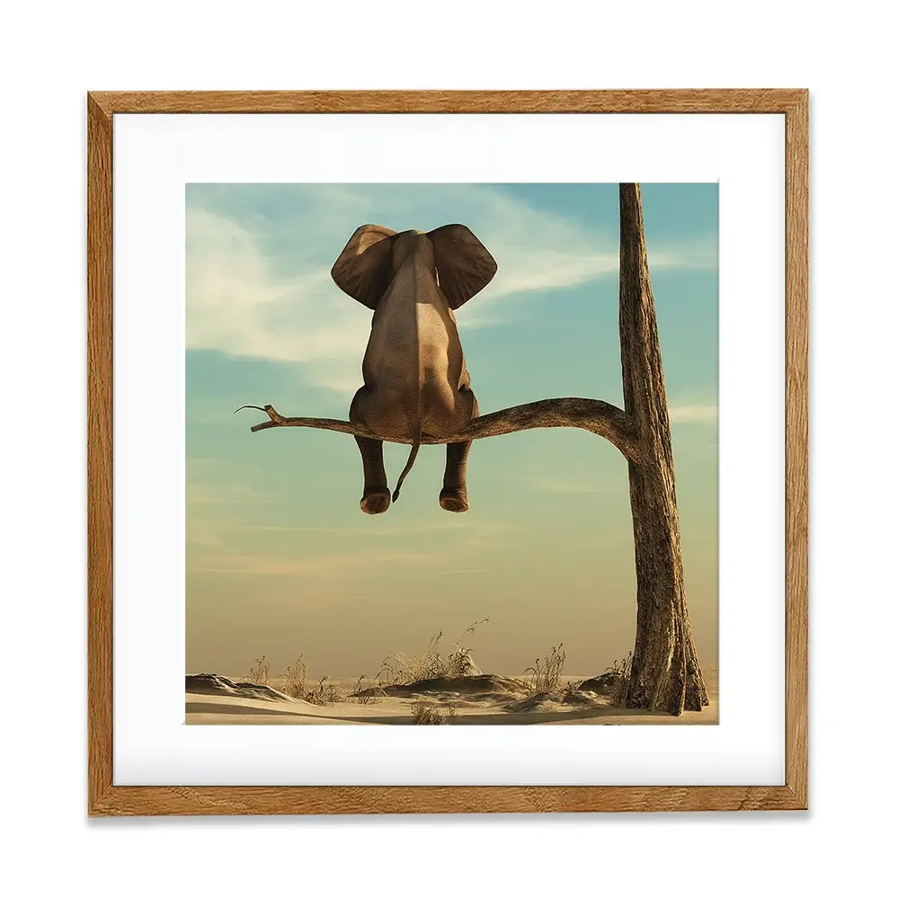 Sitting Elephant Square Framed Art Print Sitting Elephant Square Framed Art Print wall art product Orla / Shutterstock