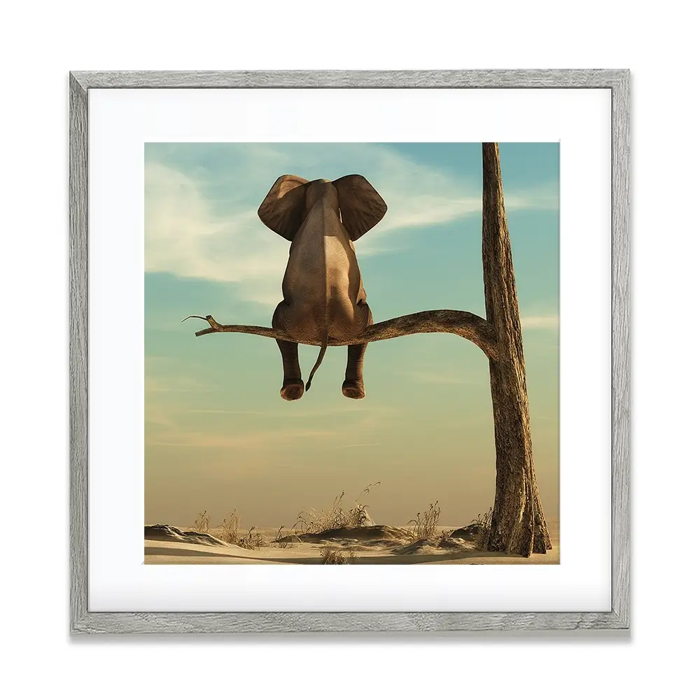 Sitting Elephant Square Framed Art Print Sitting Elephant Square Framed Art Print wall art product Orla / Shutterstock