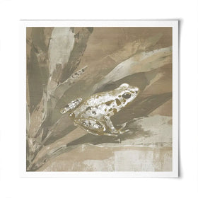 Soft Frog On Bromeliad Square Art Print Soft Frog On Bromeliad Square Art Print wall art product Chromatic Storm Studio