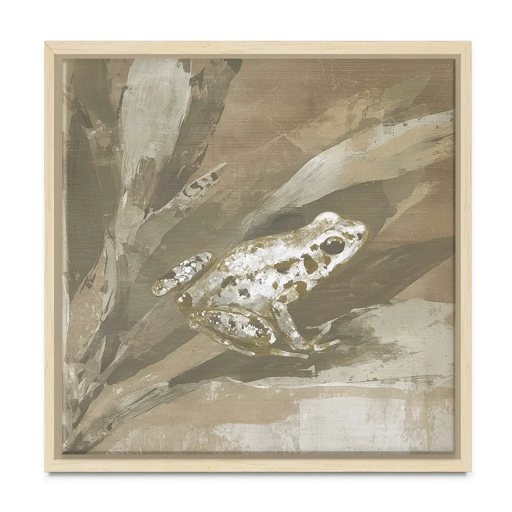 Soft Frog On Bromeliad Square Canvas Print Soft Frog On Bromeliad Square Canvas Print wall art product Chromatic Storm Studio
