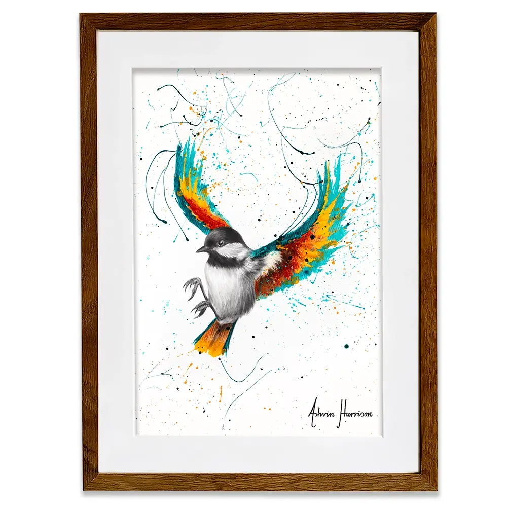Solo Sounds Bird Framed Art Print Solo Sounds Bird Framed Art Print wall art product Ashvin Harrison