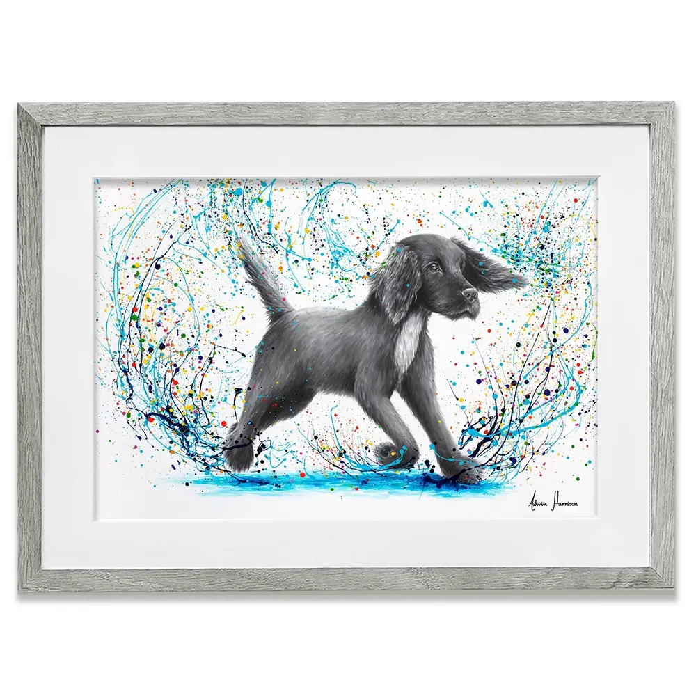 Spaniel Splash Framed Art Print Spaniel Splash Framed Art Print wall art product Ashvin Harrison
