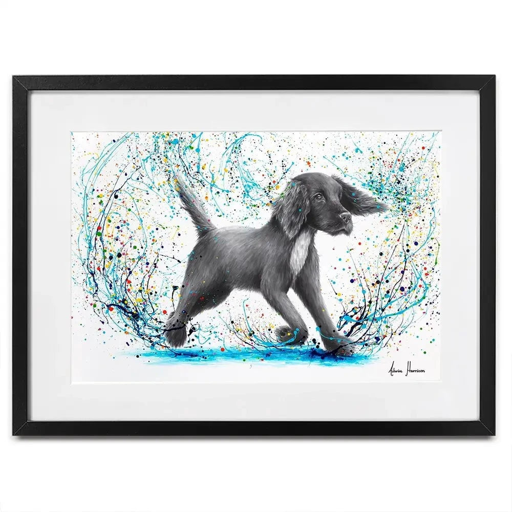 Spaniel Splash Framed Art Print Spaniel Splash Framed Art Print wall art product Ashvin Harrison