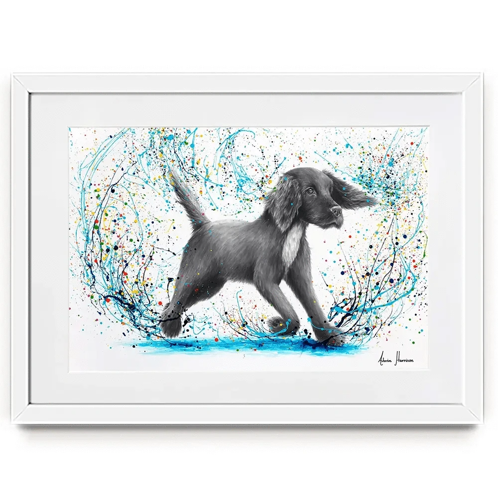 Spaniel Splash Framed Art Print Spaniel Splash Framed Art Print wall art product Ashvin Harrison