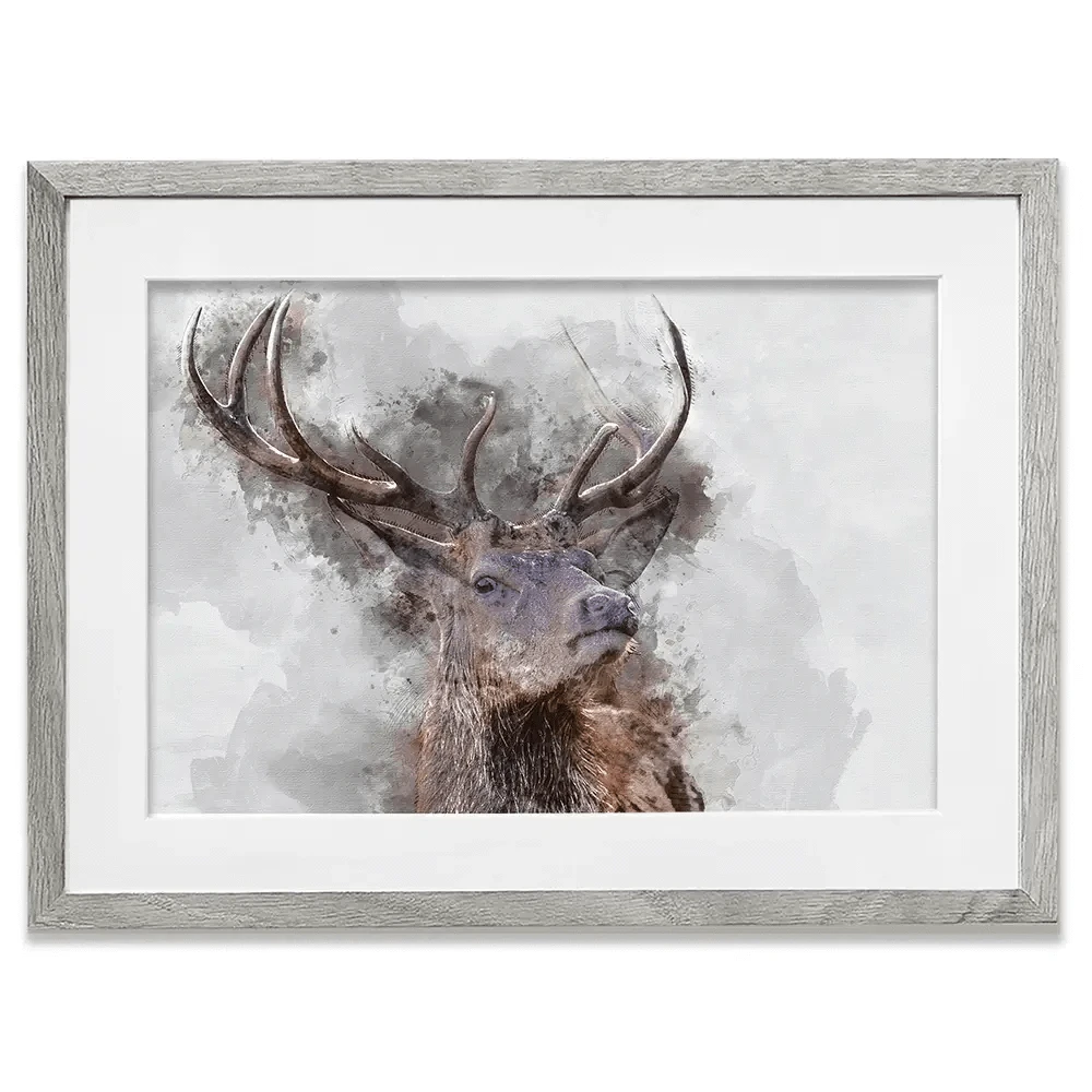 Stag Framed Art Print Stag Framed Art Print wall art product Matt Gibson / Shutterstock