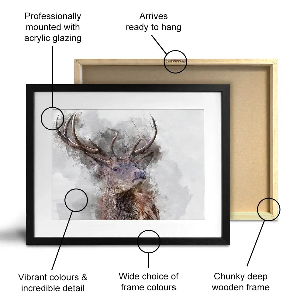 Stag Framed Art Print Stag Framed Art Print wall art product Matt Gibson / Shutterstock