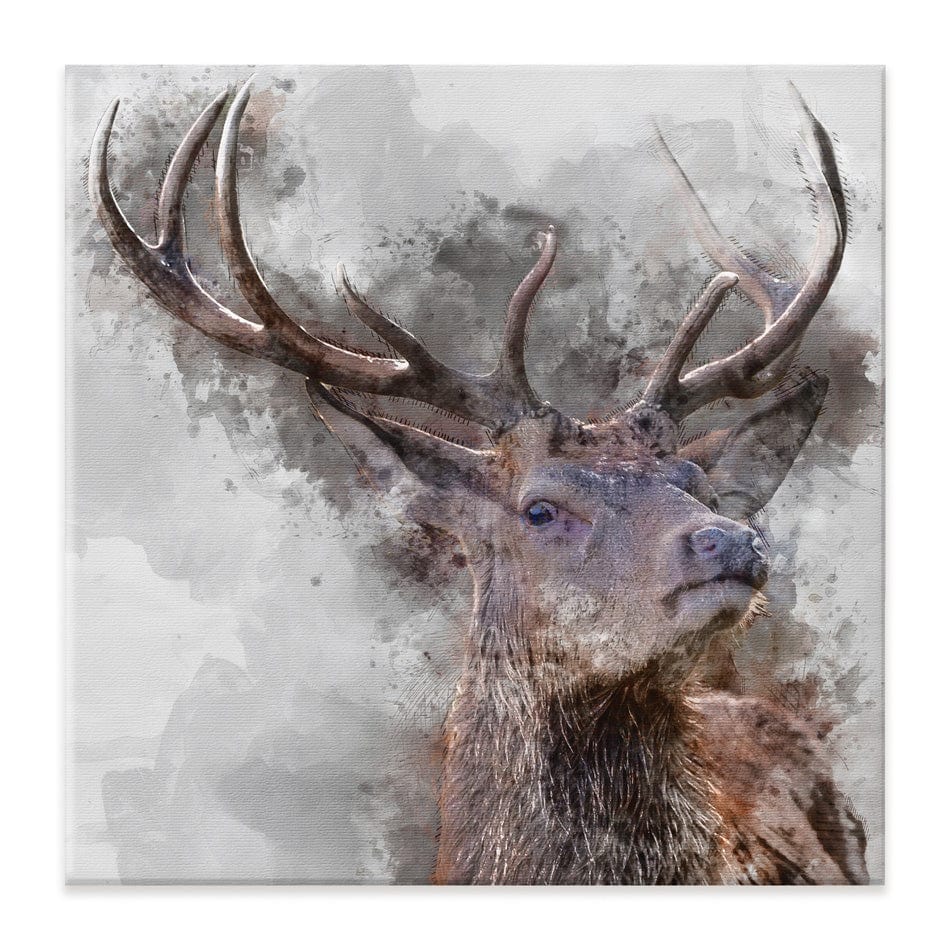 Stag Square Canvas Print wall art product Matt Gibson / Shutterstock