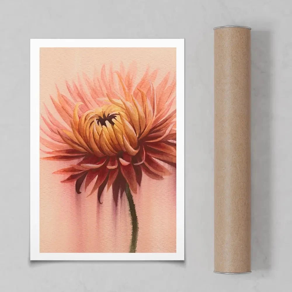 Sun Drenched Chrysanthemum 2 Art Print Sun Drenched Chrysanthemum 2 Art Print wall art product Grace Popp