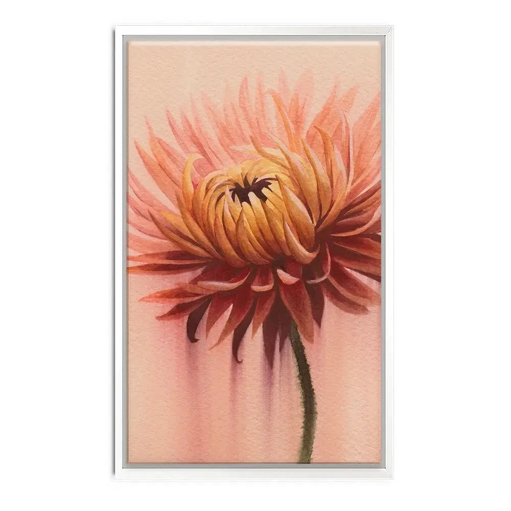 Sun Drenched Chrysanthemum 2 Canvas Print Sun Drenched Chrysanthemum 2 Canvas Print wall art product Grace Popp