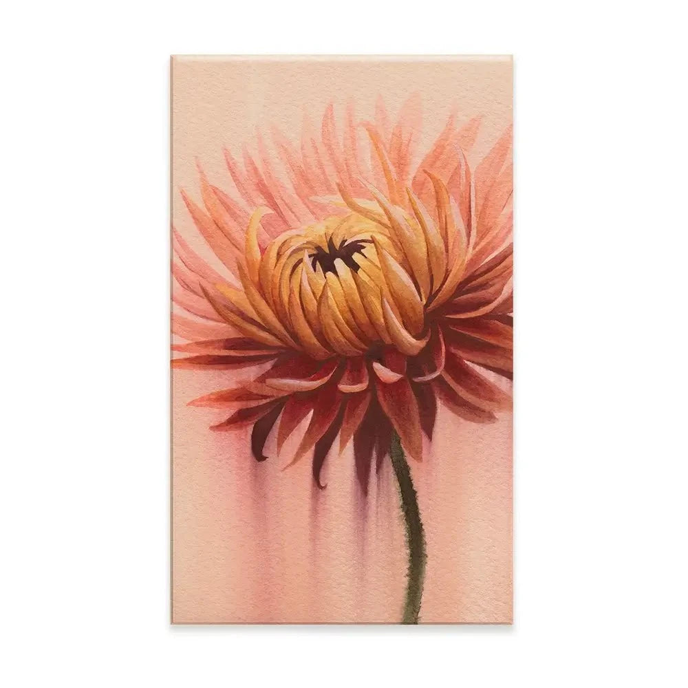 Sun Drenched Chrysanthemum 2 Canvas Print Sun Drenched Chrysanthemum 2 Canvas Print wall art product Grace Popp