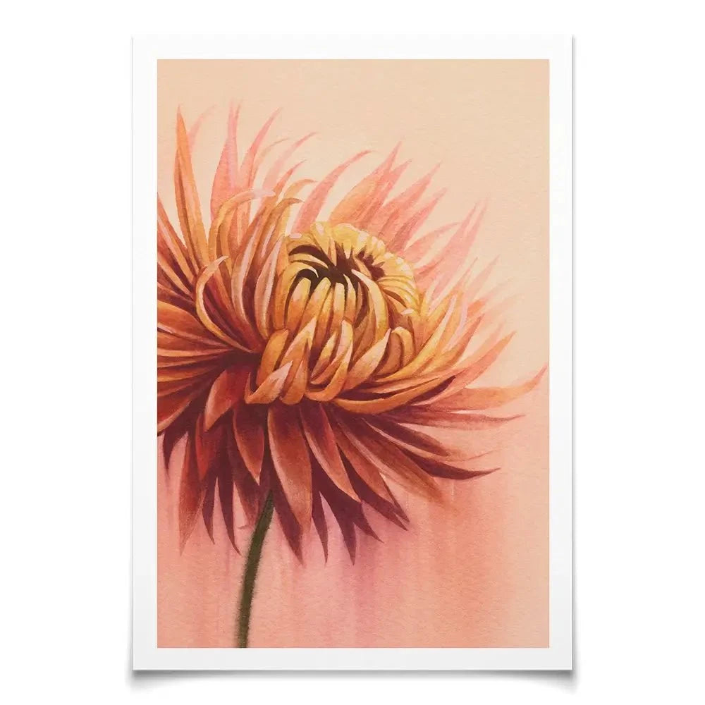 Sun Drenched Chrysanthemum Art Print Sun Drenched Chrysanthemum Art Print wall art product Grace Popp