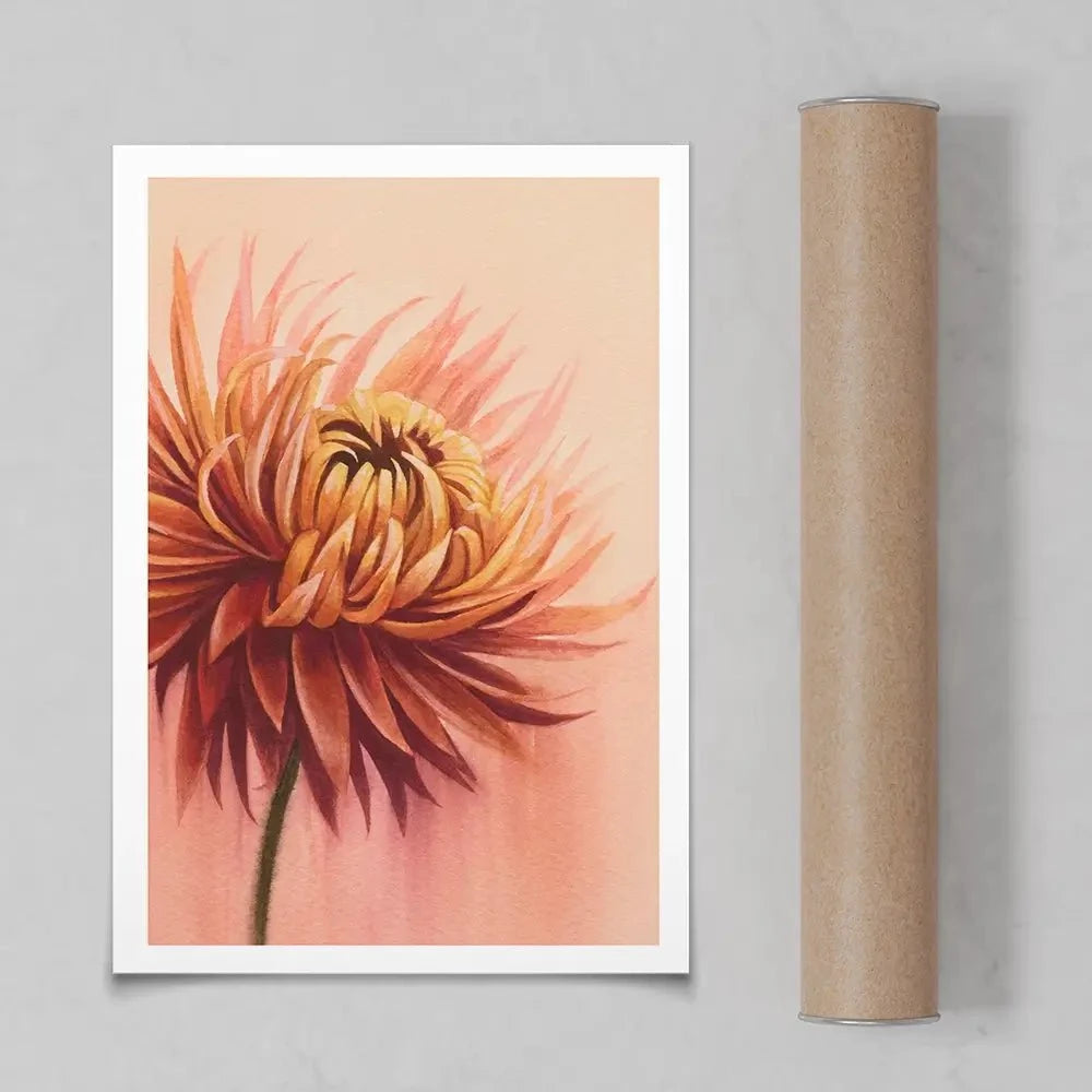 Sun Drenched Chrysanthemum Art Print Sun Drenched Chrysanthemum Art Print wall art product Grace Popp