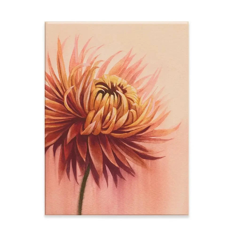 Sun Drenched Chrysanthemum Canvas Print Sun Drenched Chrysanthemum Canvas Print wall art product Grace Popp