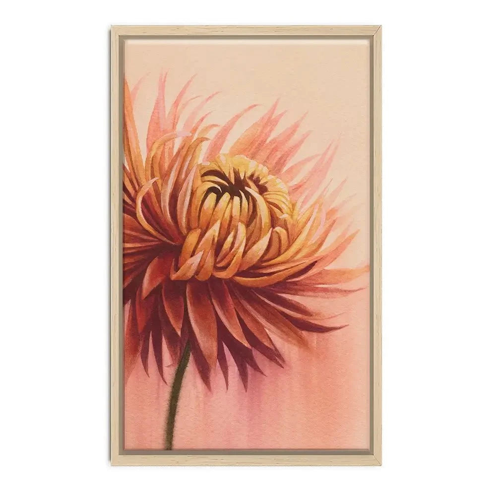 Sun Drenched Chrysanthemum Canvas Print Sun Drenched Chrysanthemum Canvas Print wall art product Grace Popp