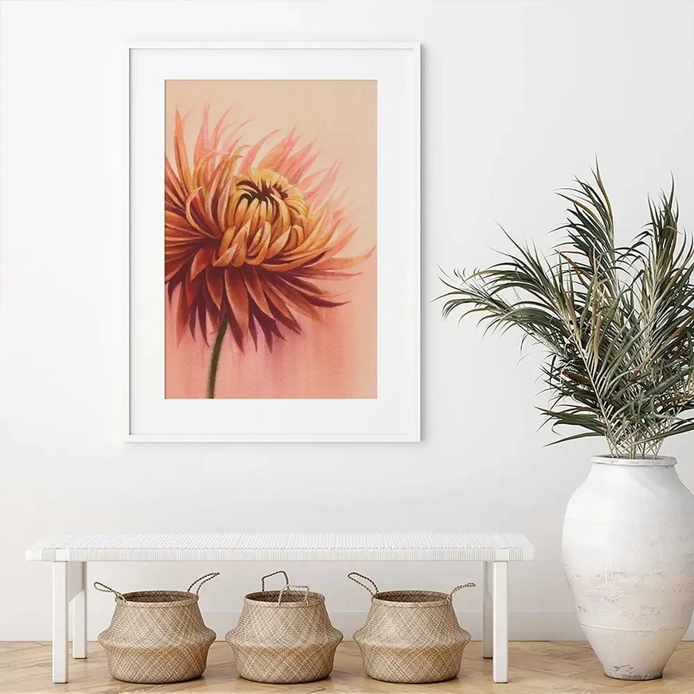 Sun Drenched Chrysanthemum Framed Art Print Sun Drenched Chrysanthemum Framed Art Print wall art product Grace Popp