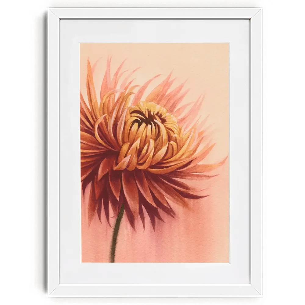 Sun Drenched Chrysanthemum Framed Art Print Sun Drenched Chrysanthemum Framed Art Print wall art product Grace Popp