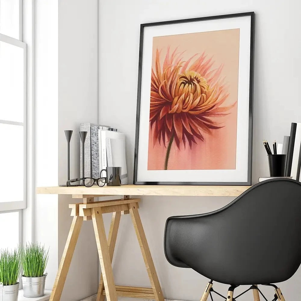 Sun Drenched Chrysanthemum Framed Art Print Sun Drenched Chrysanthemum Framed Art Print wall art product Grace Popp