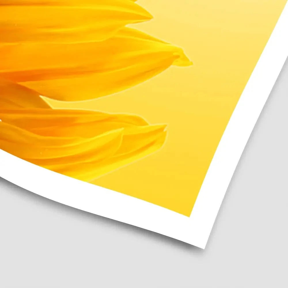 Sunflower Art Print Sunflower Art Print wall art product S_Photo / Shutterstock