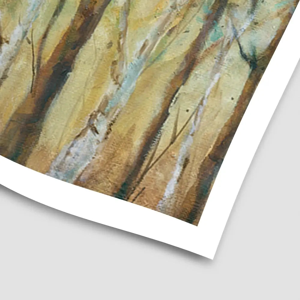 Sunlit Grove With Birch Art Print Sunlit Grove With Birch Art Print wall art product Carol Robinson