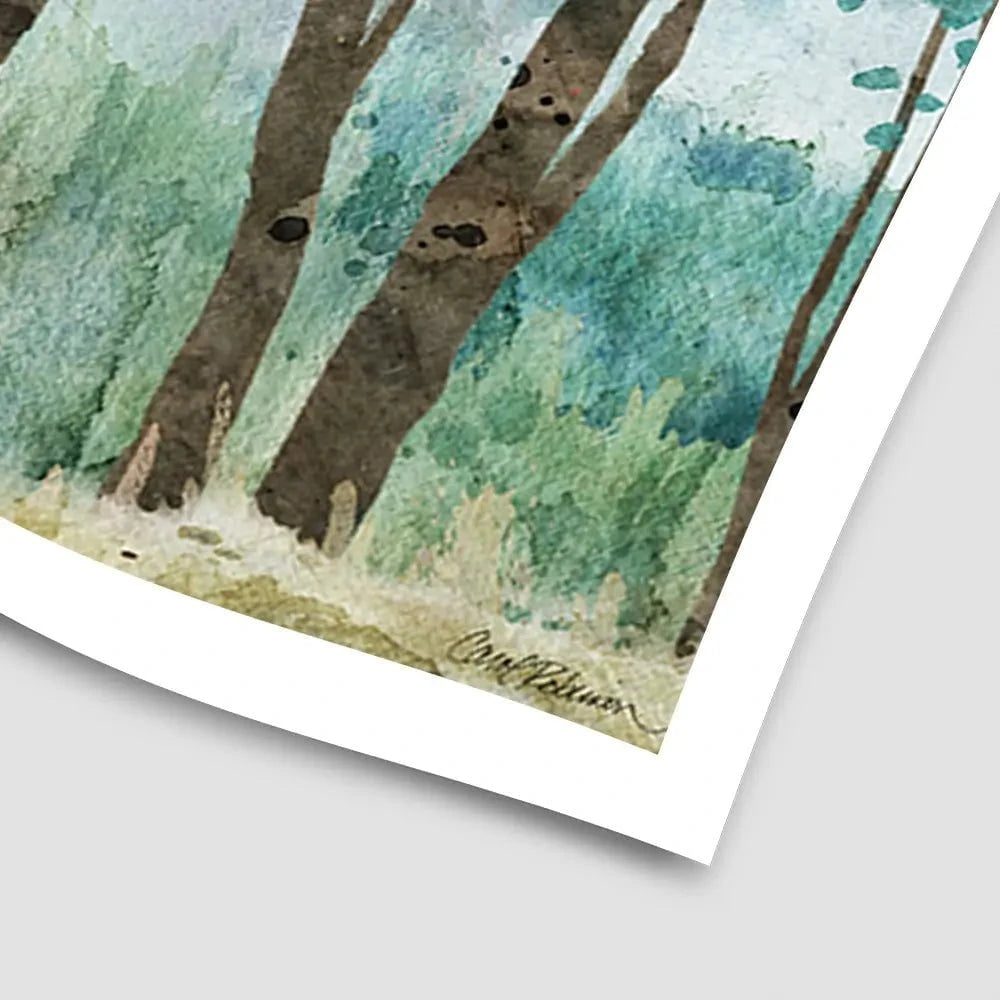 Sunwashed Grove Art Print Sunwashed Grove Art Print wall art product Carol Robinson