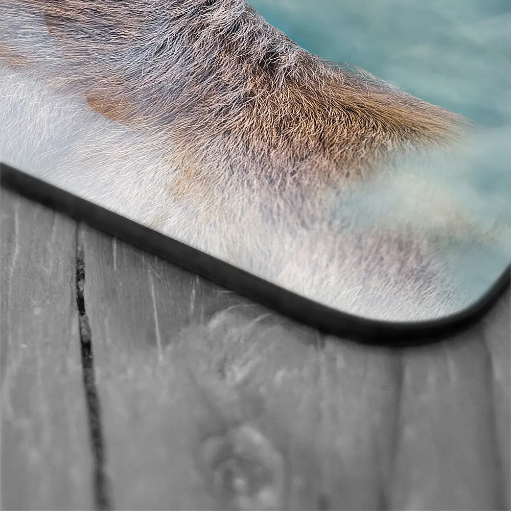 Surreal Stag Coaster Set Rainbow Soul Tree Coaster Set | Rainbow Soul Tree Art Coasters wall art product jack53 / Shutterstock