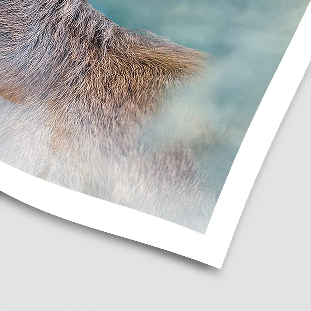 Surreal Stag Square Art Print Surreal Stag Square Art Print wall art product jack53 / Shutterstock