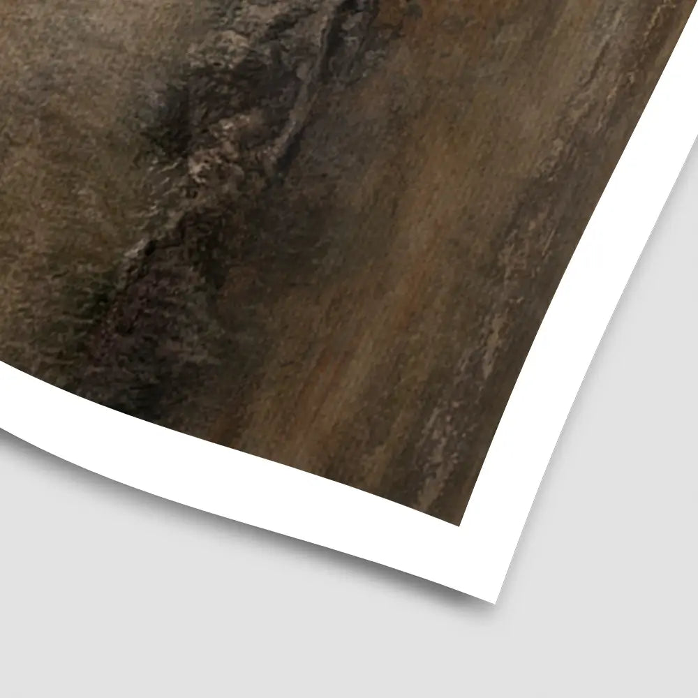 Surveying The Hunt 1 Art Print Surveying The Hunt 1 Art Print wall art product Carol Robinson