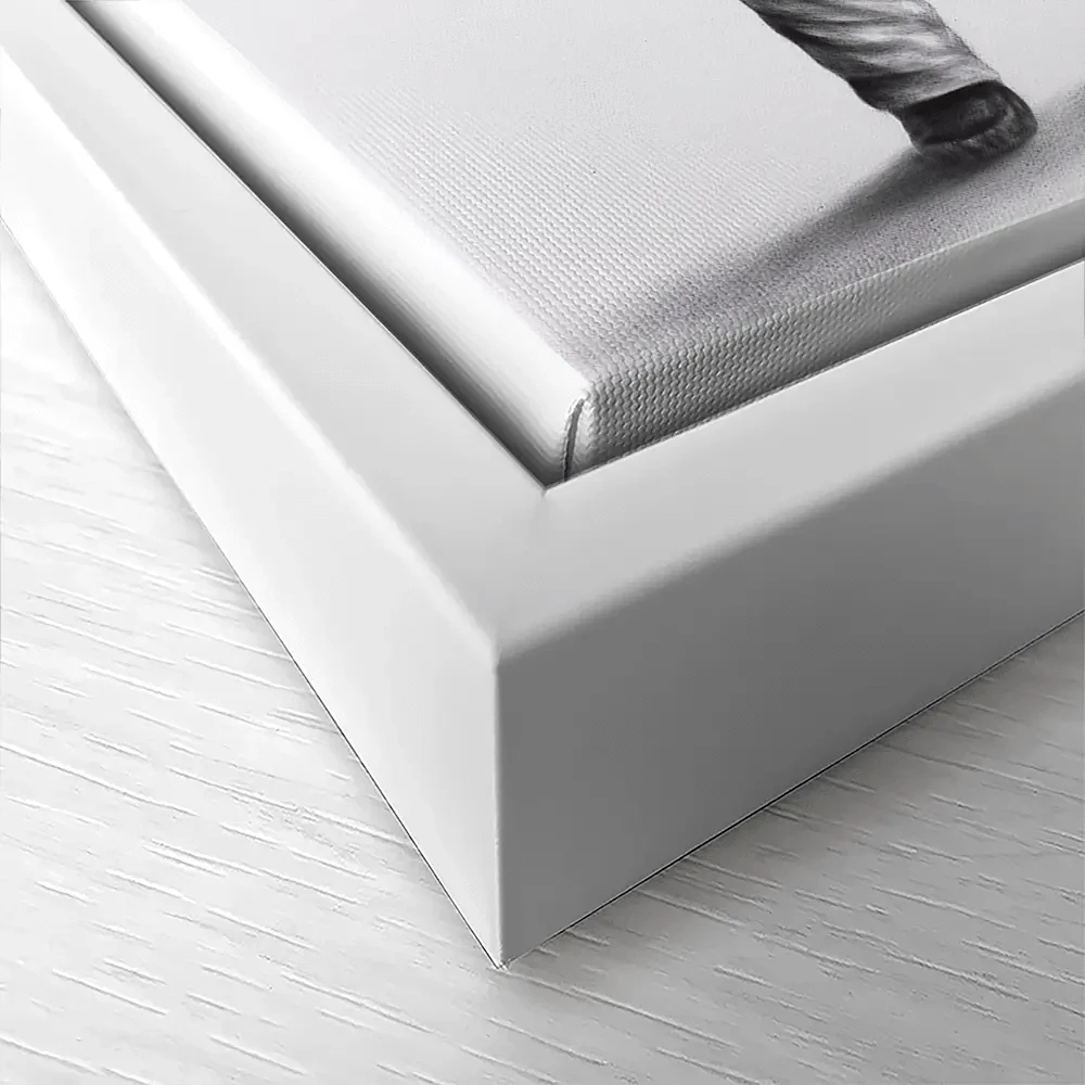 The Astronaut Canvas Print The Astronaut Canvas Print wall art product Ashvin Harrison