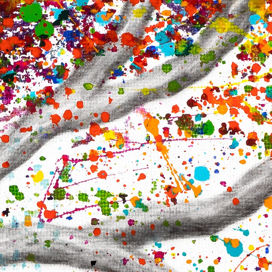 The Colour Of Dreams Square Canvas Print wall art product Ashvin Harrison