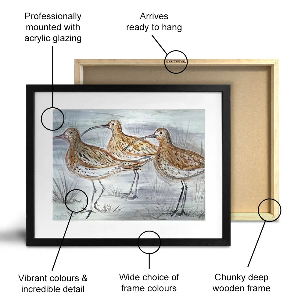 Three Curlews Framed Art Print Three Curlews Framed Art Print wall art product Jane Brookshaw