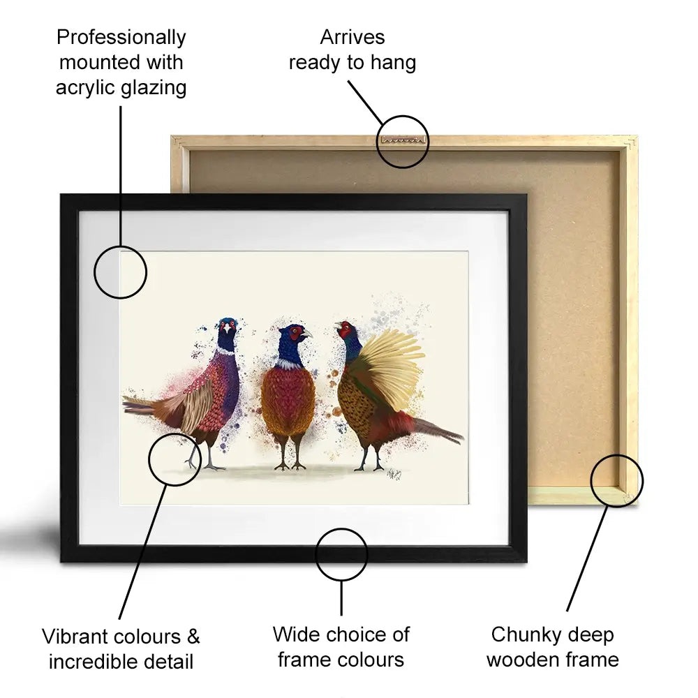 Three Pheasants Framed Art Print Three Pheasants Framed Art Print wall art product Fab Funky