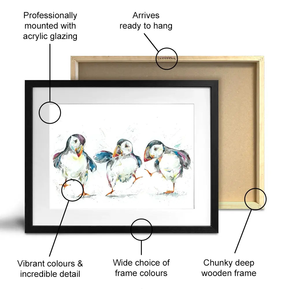 Three Puffins Framed Art Print Three Puffins Framed Art Print wall art product Nicola Jane Rowles