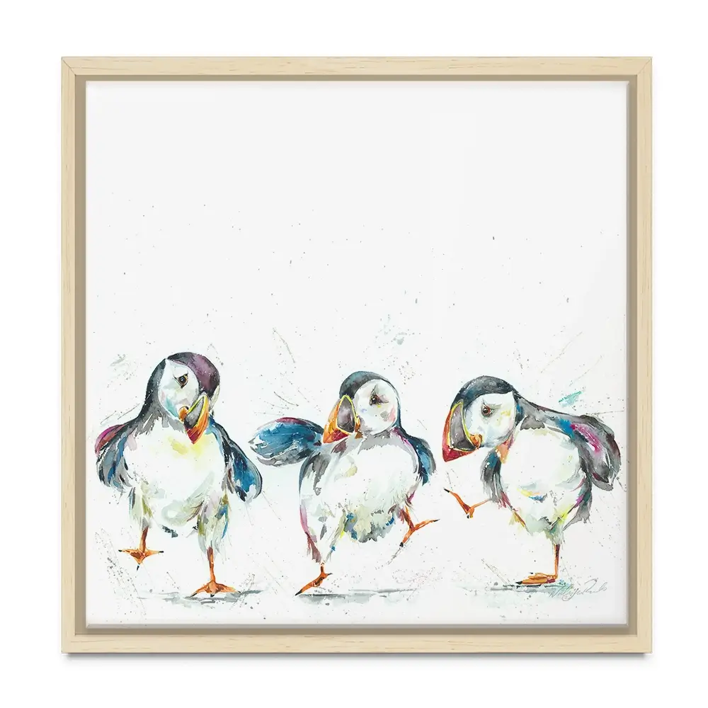 Three Puffins Square Canvas Print Three Puffins Square Canvas Print wall art product Nicola Jane Rowles