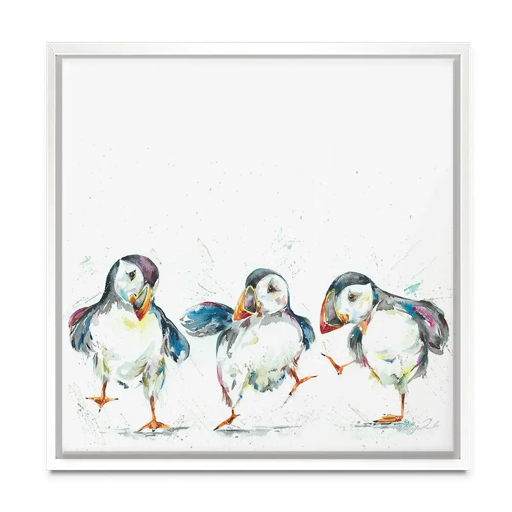 Three Puffins Square Canvas Print Three Puffins Square Canvas Print wall art product Nicola Jane Rowles
